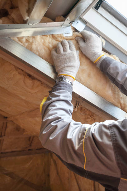 Best Spray Foam Insulation  in USA